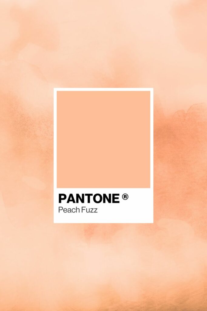 Peach Fuzz, el color elegido para el año 2024, es una tonalidad suave y cálida que evoca la frescura de un durazno maduro. 